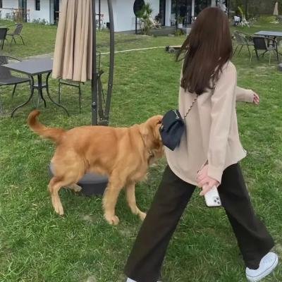 未来少女