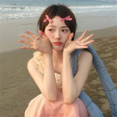 29片棕榈叶